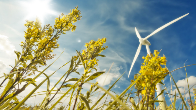 augi un vēja ģenerators