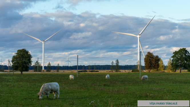 Vēja parks Tārgalē