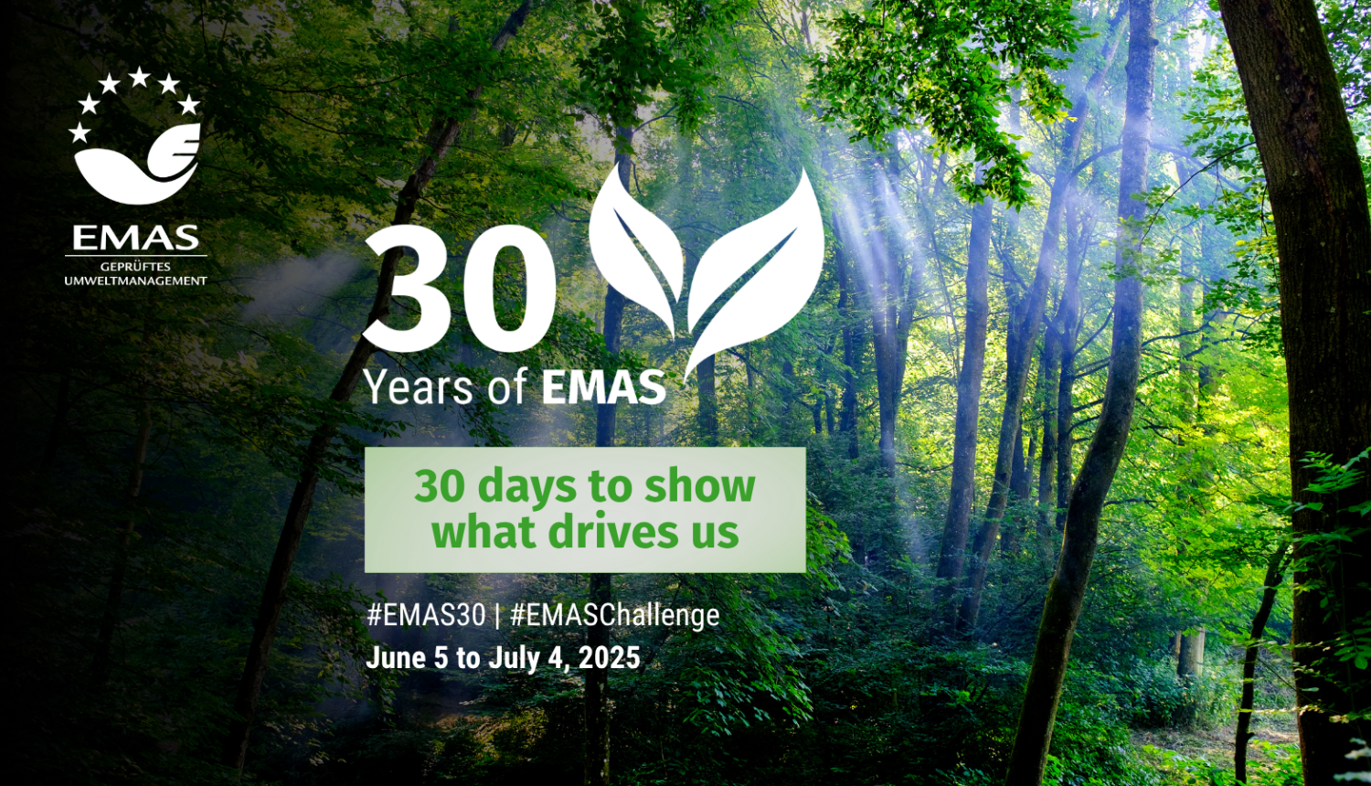 EMAS 30 gadu plakāts